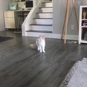 Meet your Posher, Sean